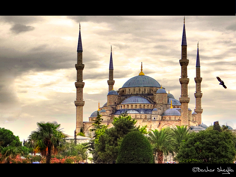 Sultan Ahmed Mosque is a photograph by Bashar Shglila.jpg